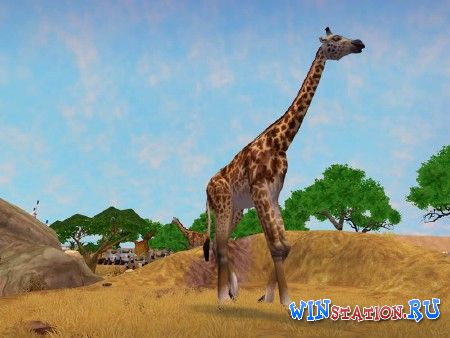 Скачать игру Zoo Tycoon 2 Ultimate Collection Скачать игру Zoo Tycoon 2 Ultimate Collection