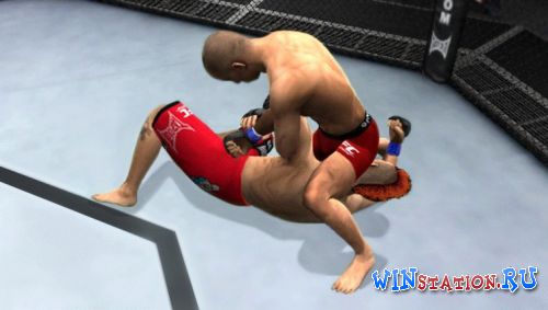 UFC Undisputed 2011 UFC Undisputed 2011