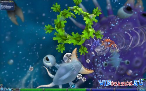 Spore Spore