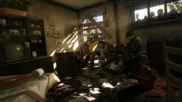 Dying Light  PC