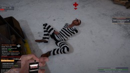  Prison Simulator