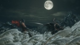  Sekiro: Shadows Die Twice