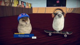 SkateBIRD 