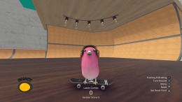   SkateBIRD