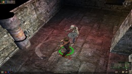   Dungeon Siege