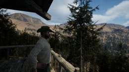   Evergreen - Mountain Life Simulator