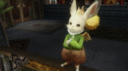  FINAL FANTASY XII THE ZODIAC AGE