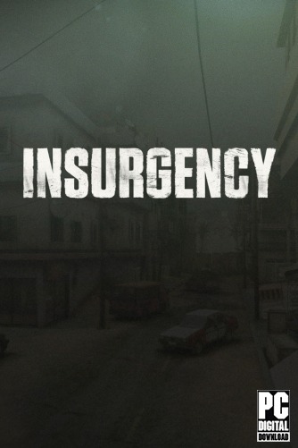 Insurgency