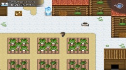   Let's Go! My Harem Farm