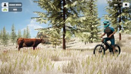   Mountain Bicycle Rider Simulator