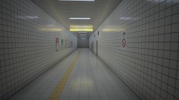 Platform 8 
