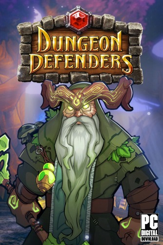 Dungeon Defenders  