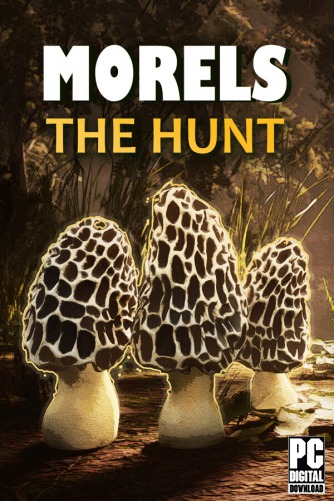 Morels: The Hunt