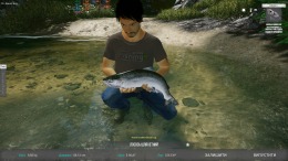   Ultimate Fishing Simulator 2