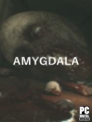 Amygdala