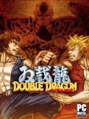 Double Dragon Advance