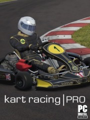 Kart Racing Pro