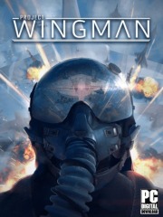 Project Wingman