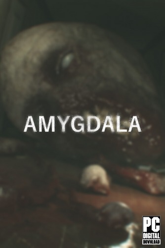 Amygdala  