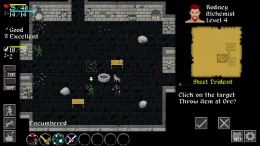 Ananias Roguelike  PC