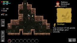   Ananias Roguelike