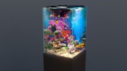  Behind Glass: Aquarium Simulator