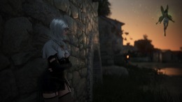 Black Desert  PC