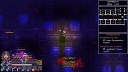   Chronicon