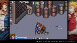  Double Dragon Advance