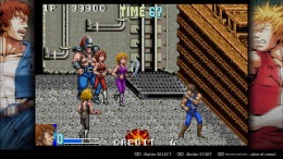  Double Dragon Advance