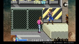  Double Dragon Advance