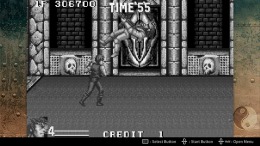 Double Dragon Advance  PC