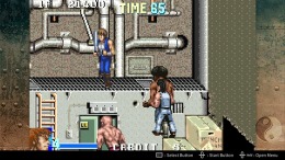   Double Dragon Advance