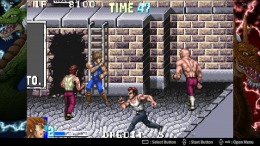 Double Dragon Advance 