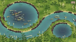   Koi Farm