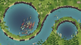   Koi Farm