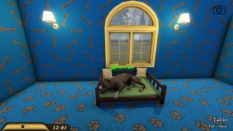   Pets Hotel