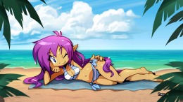 Shantae: Half-Genie Hero  PC