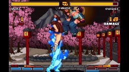  Strip Fighter ZERO