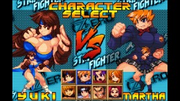 Strip Fighter ZERO  PC