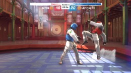   Taekwondo Grand Prix