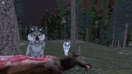 WolfQuest 