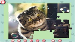 1001 Jigsaw. Cute Cats 