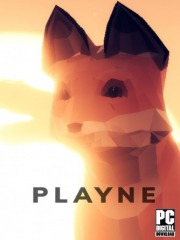 PLAYNE : The Meditation Game