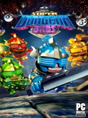 Super Dungeon Bros