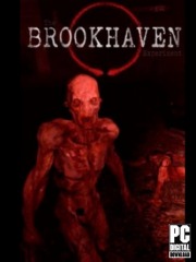 The Brookhaven Experiment