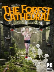 The Forest Cathedral