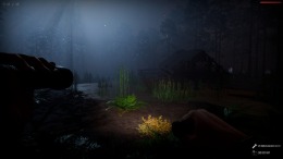   Chupacabras: Night Hunt