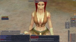 EverQuest  PC