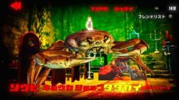   Fight Crab